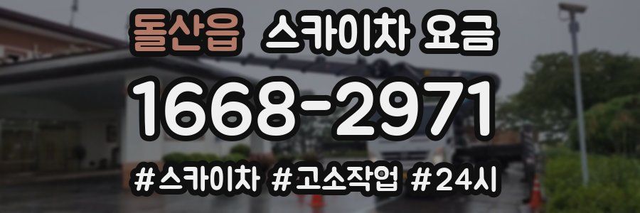 돌산읍 스카이차 요금