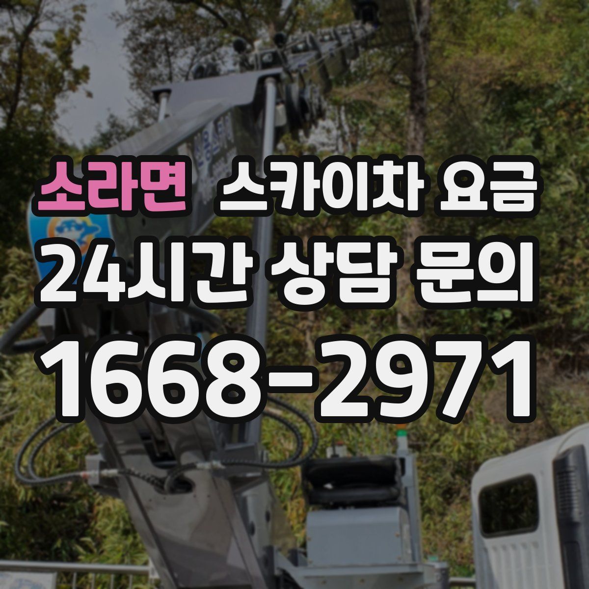 소라면 스카이차 요금