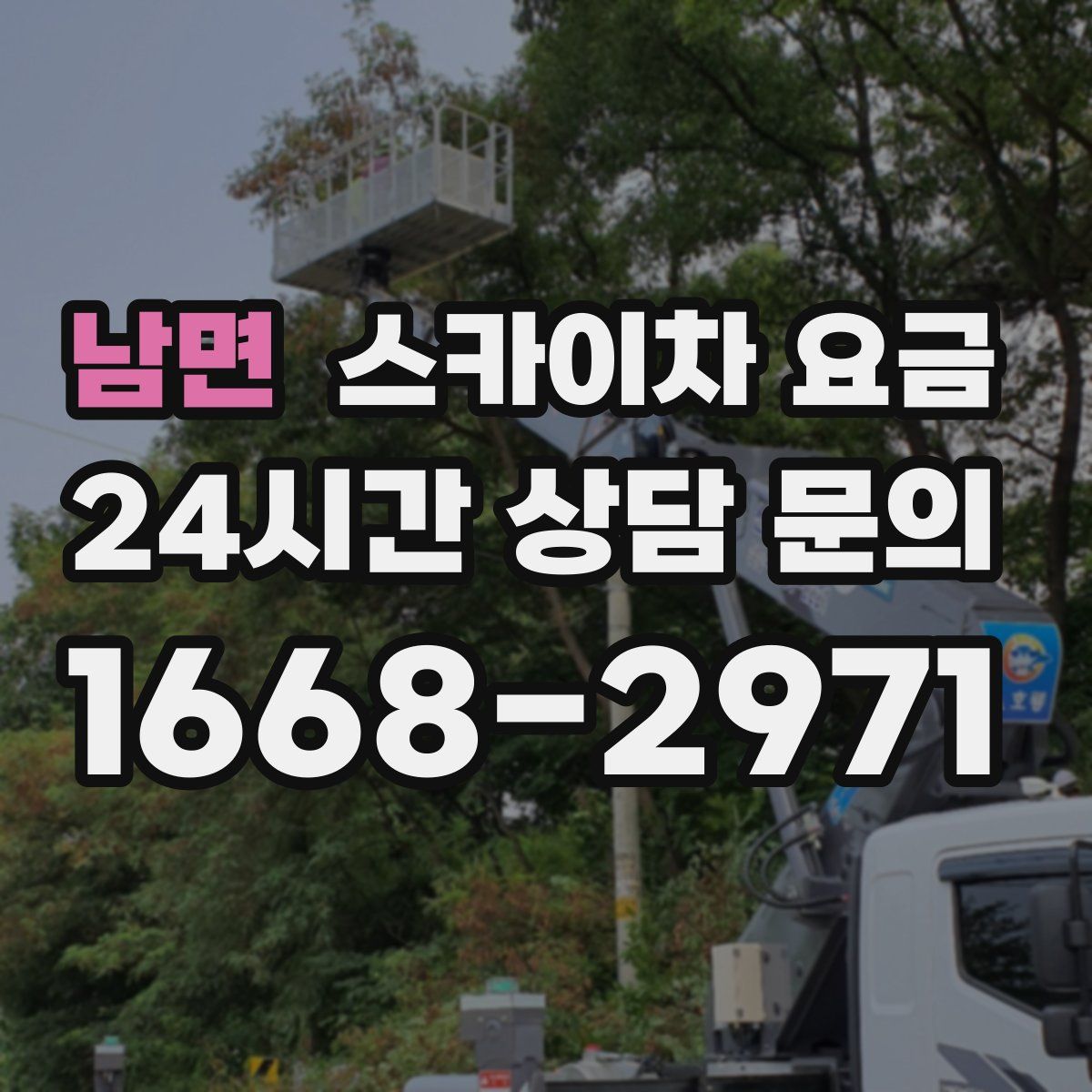 남면 스카이차 요금