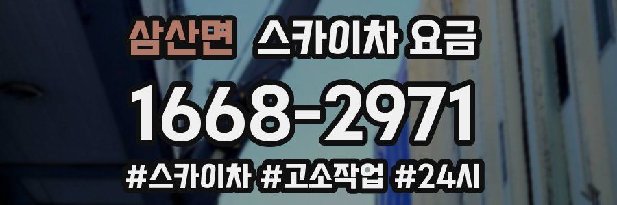 삼산면 스카이차 요금