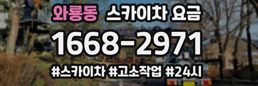 와룡동 스카이차 요금