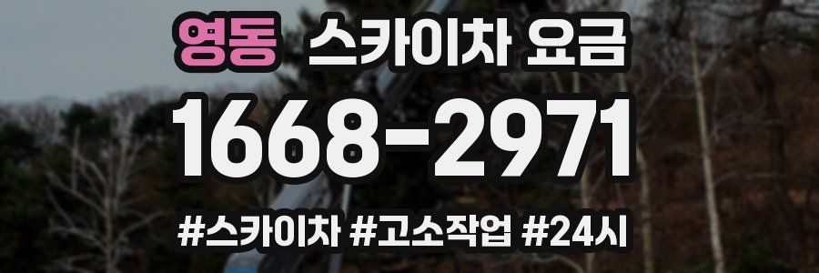 영동 스카이차 요금