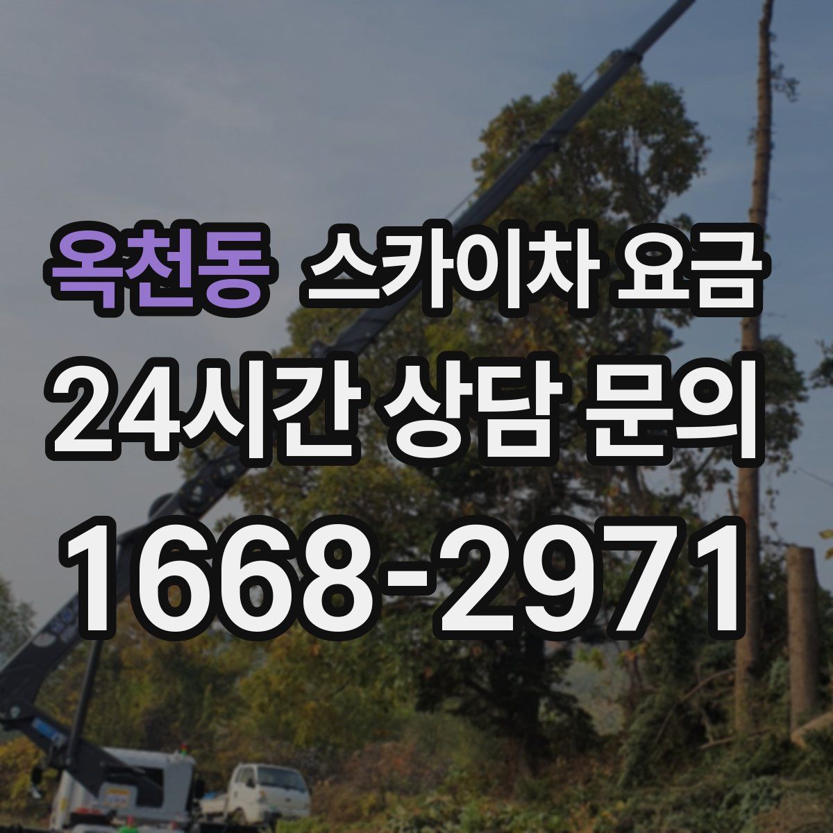 옥천동 스카이차 요금