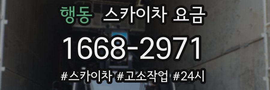 행동 스카이차 요금