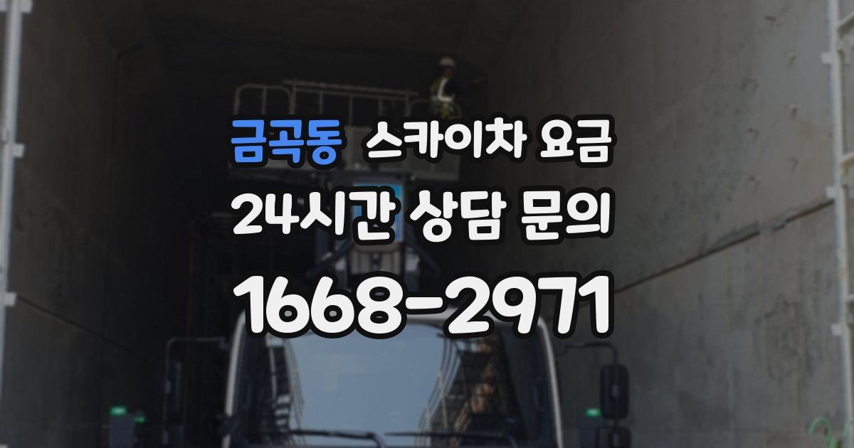 금곡동 스카이차 요금