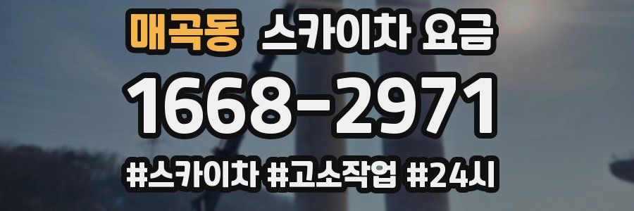 매곡동 스카이차 요금