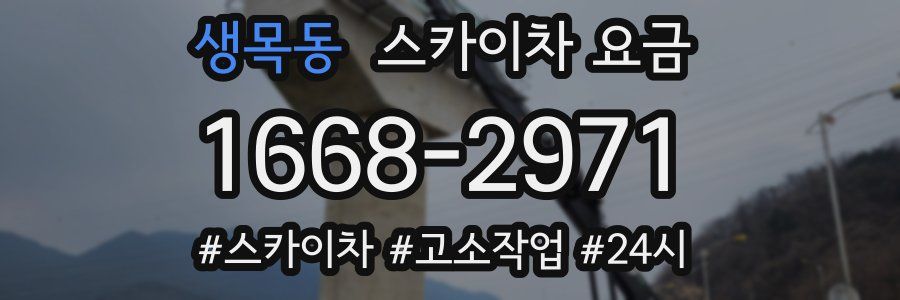 생목동 스카이차 요금