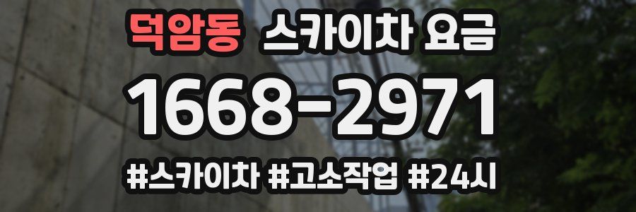 덕암동 스카이차 요금