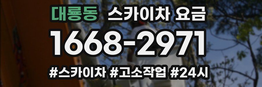 대룡동 스카이차 요금