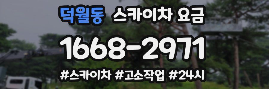 덕월동 스카이차 요금