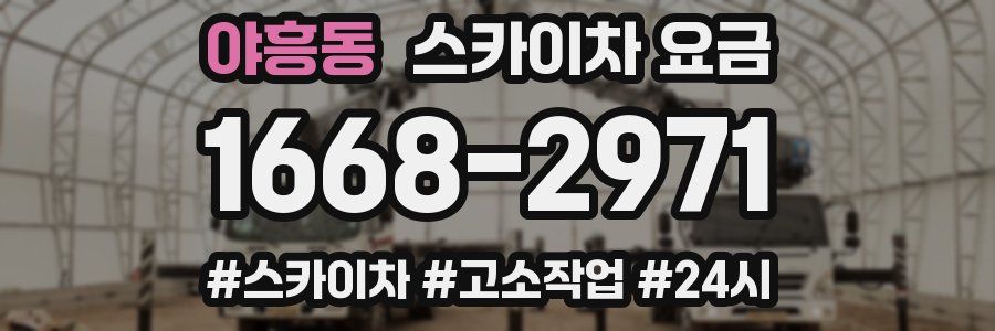 야흥동 스카이차 요금