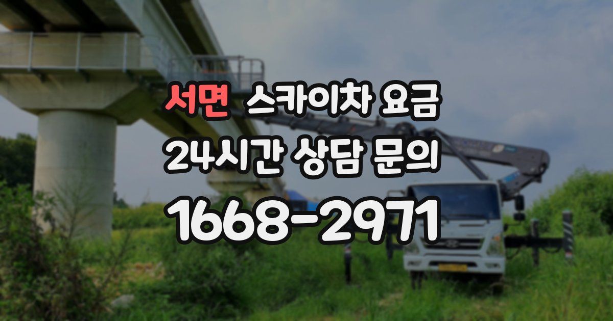 서면 스카이차 요금