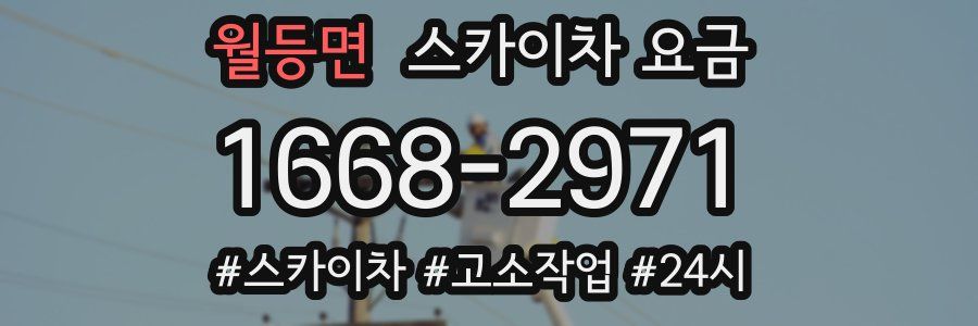 월등면 스카이차 요금