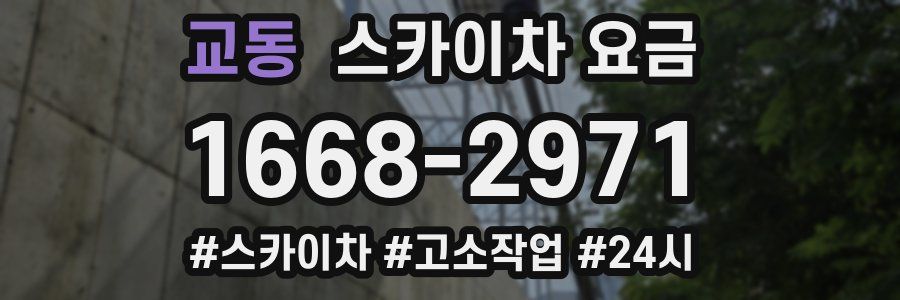 교동 스카이차 요금