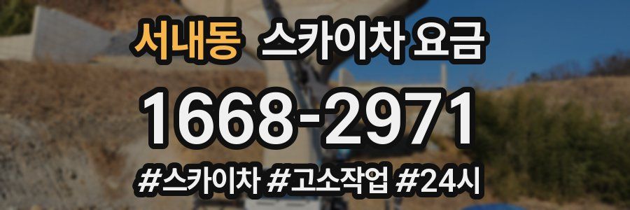 서내동 스카이차 요금