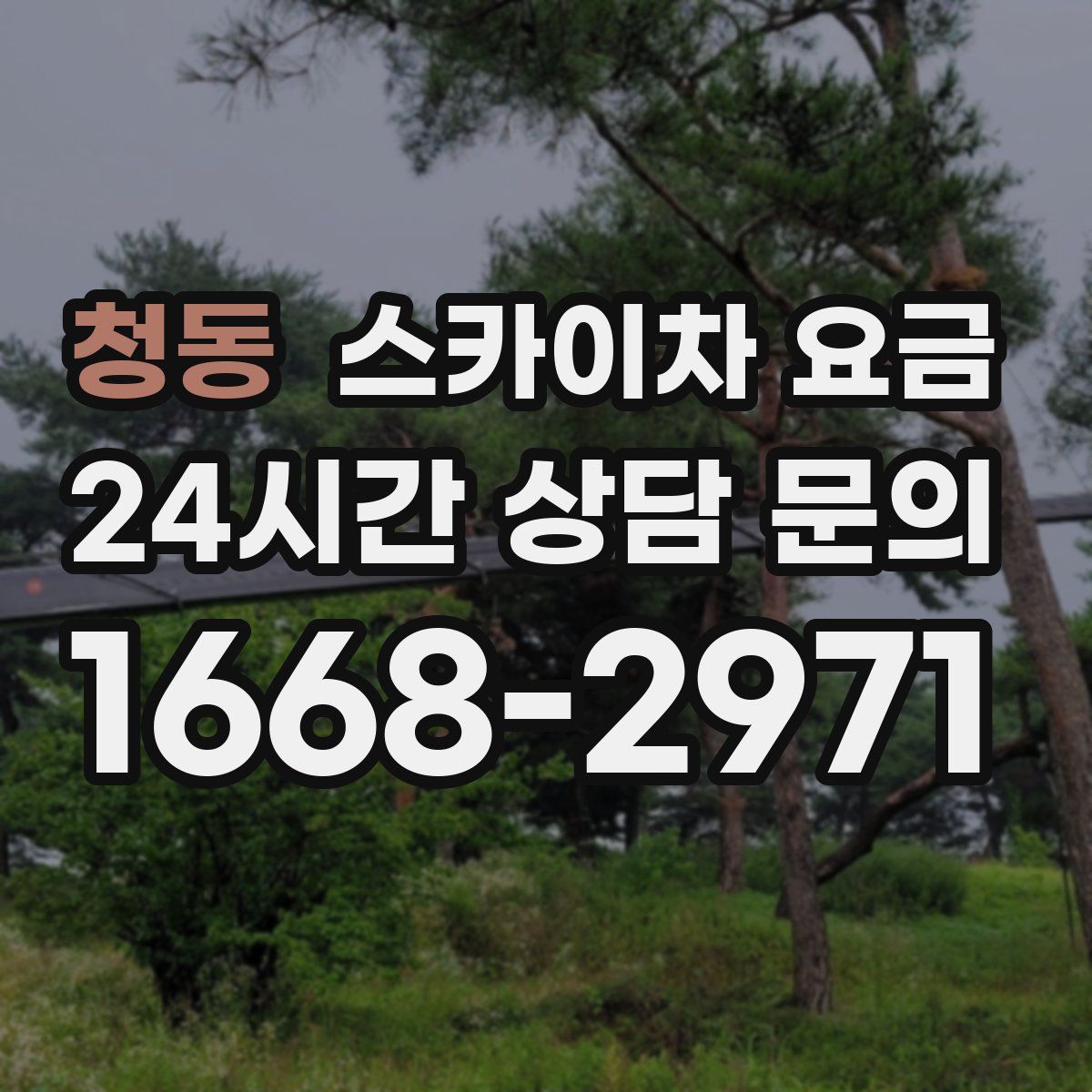 청동 스카이차 요금