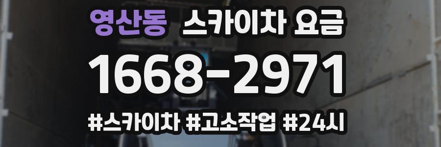 영산동 스카이차 요금