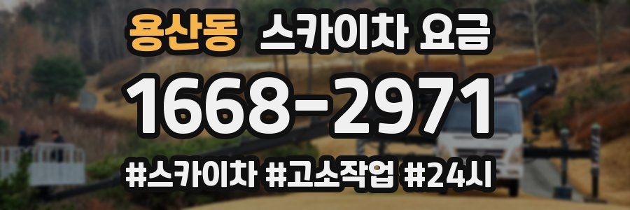 용산동 스카이차 요금