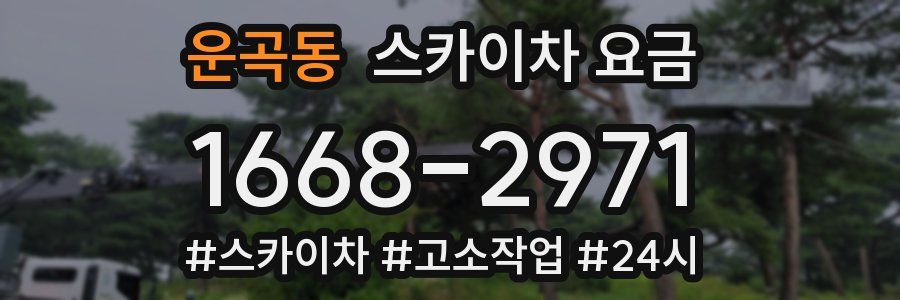 운곡동 스카이차 요금