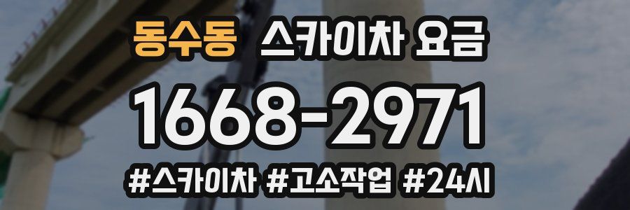 동수동 스카이차 요금