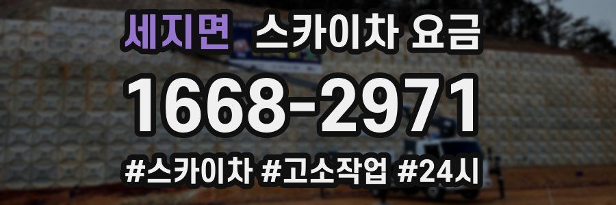 세지면 스카이차 요금