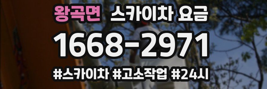 왕곡면 스카이차 요금