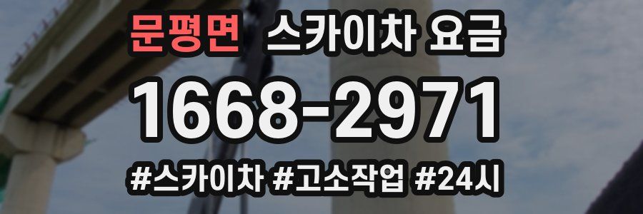 문평면 스카이차 요금