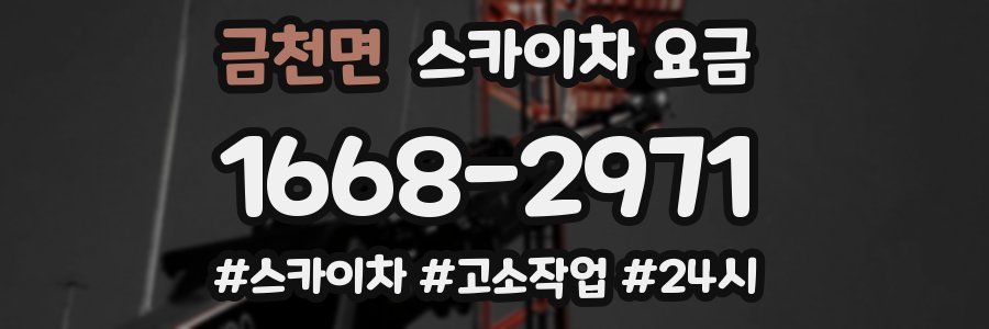 금천면 스카이차 요금