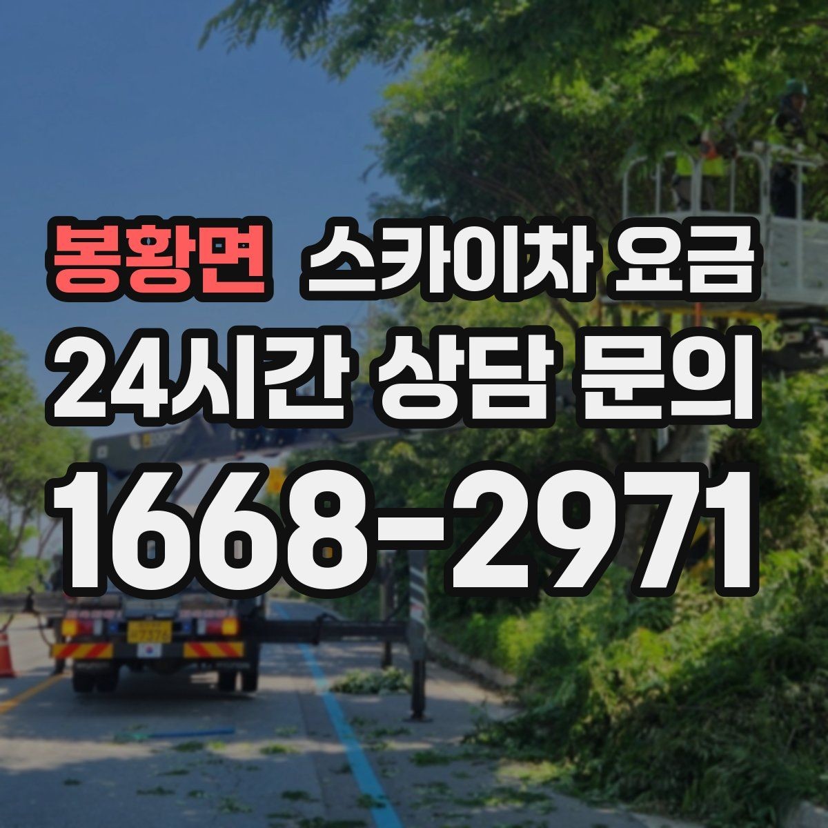 봉황면 스카이차 요금 적정 견적을 판단하는 현실적인 기준