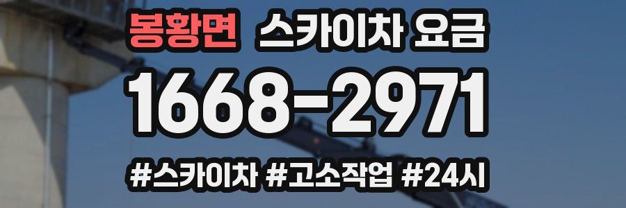 봉황면 스카이차 요금