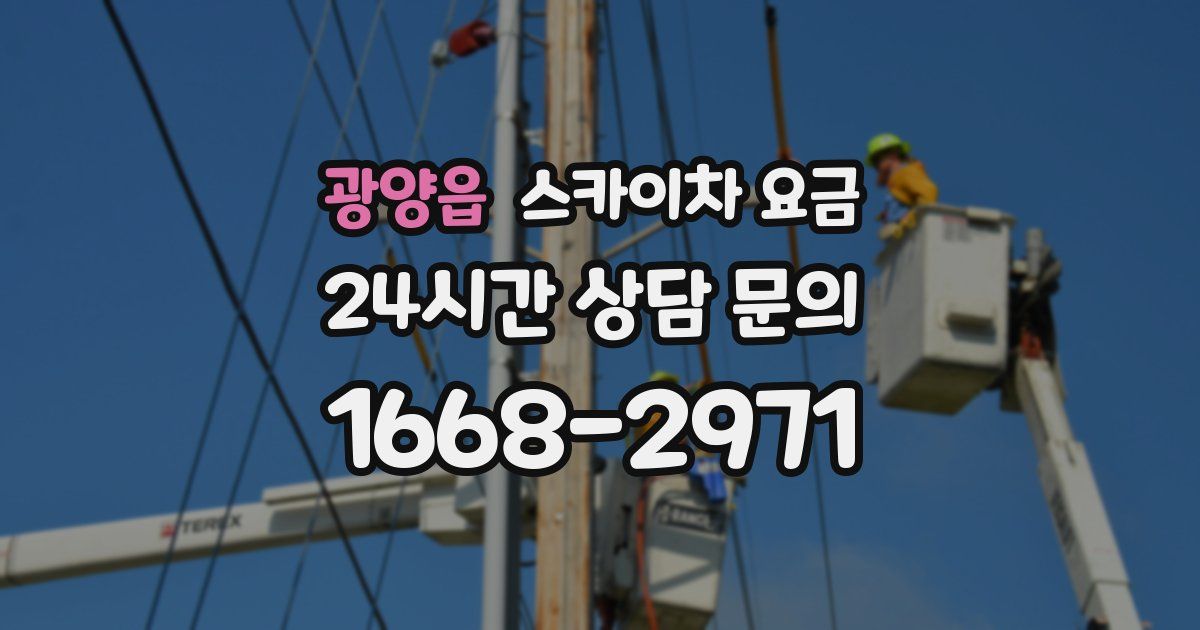 광양읍 스카이차 요금