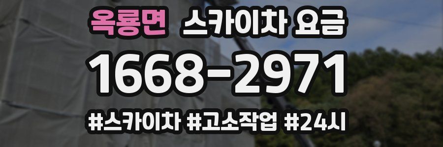 옥룡면 스카이차 요금