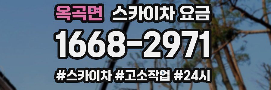 옥곡면 스카이차 요금