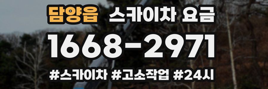 담양읍 스카이차 요금