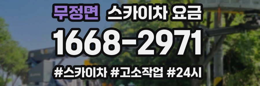 무정면 스카이차 요금