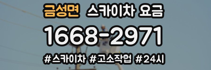 금성면 스카이차 요금