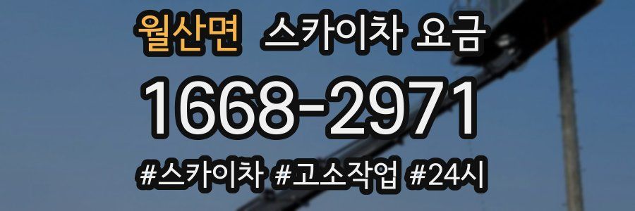 월산면 스카이차 요금