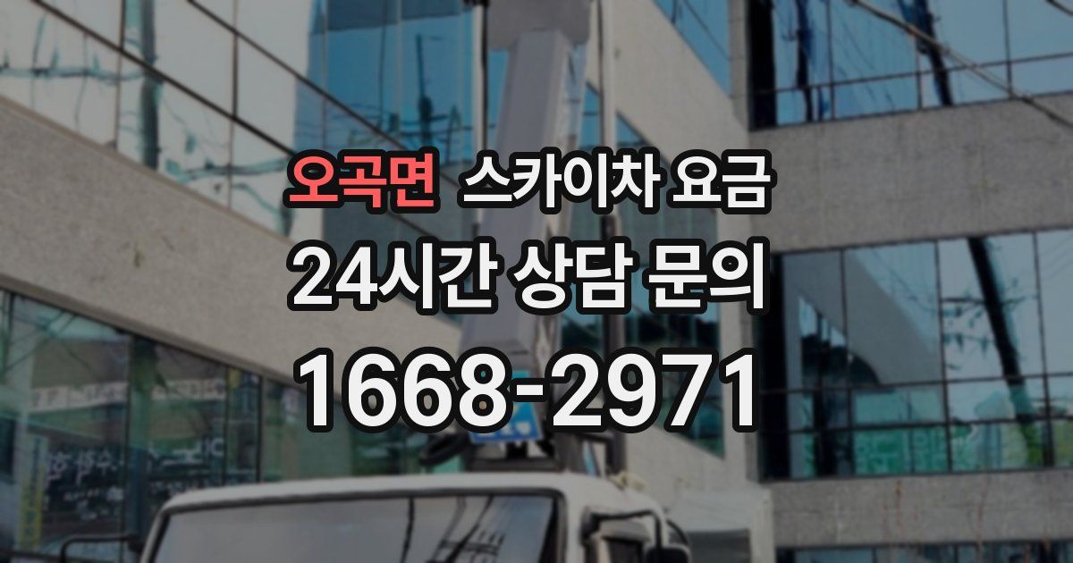 오곡면 스카이차 요금