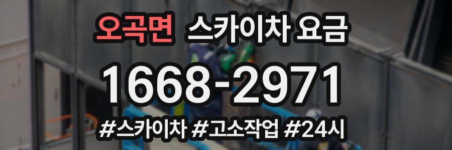 오곡면 스카이차 요금