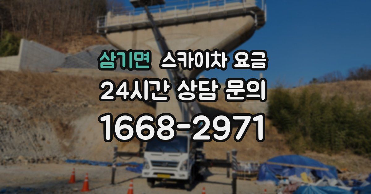 삼기면 스카이차 요금