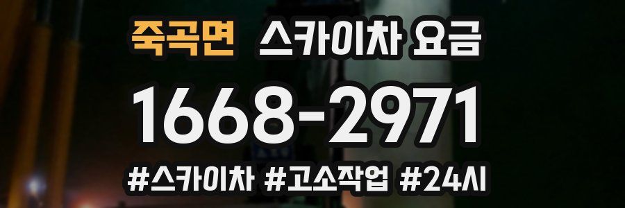 죽곡면 스카이차 요금