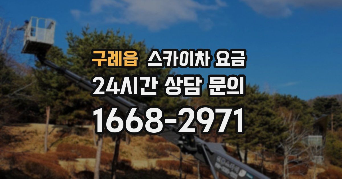 구례읍 스카이차 요금