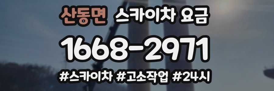 산동면 스카이차 요금