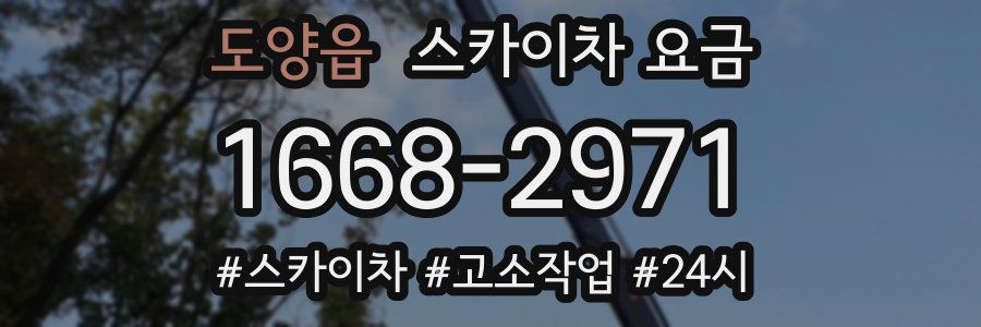 도양읍 스카이차 요금