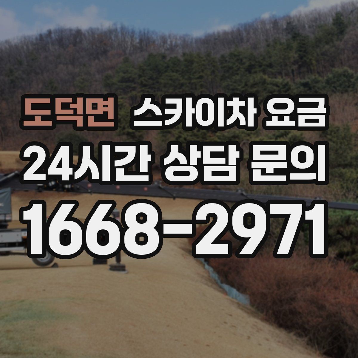 도덕면 스카이차 요금 나무 가지치기 작업은 어떤 기준으로 볼까