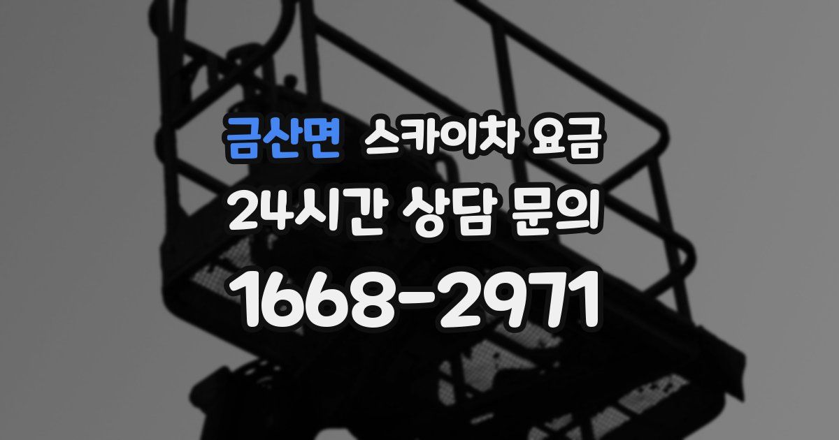 금산면 스카이차 요금