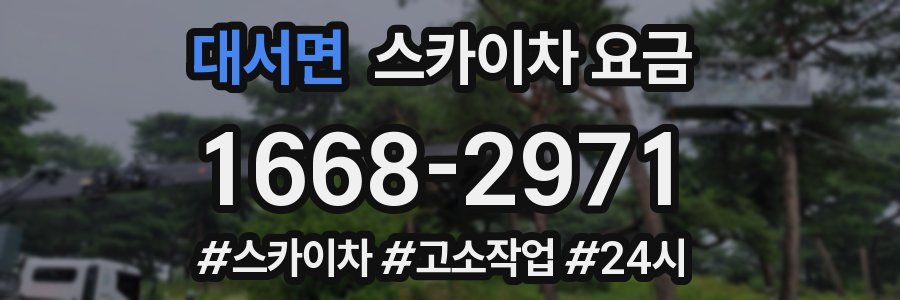 대서면 스카이차 요금