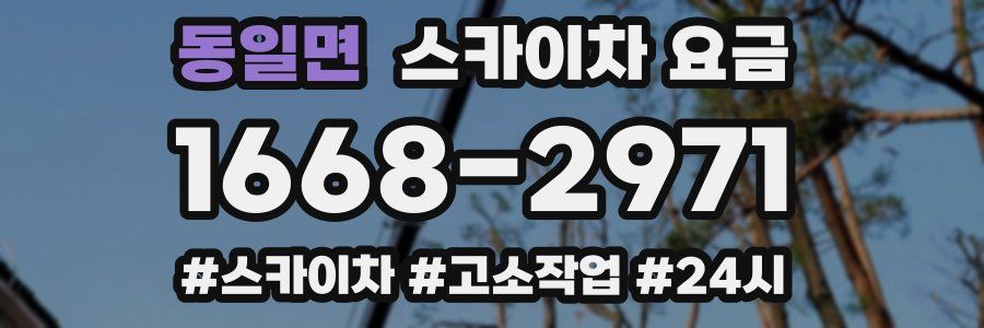 동일면 스카이차 요금