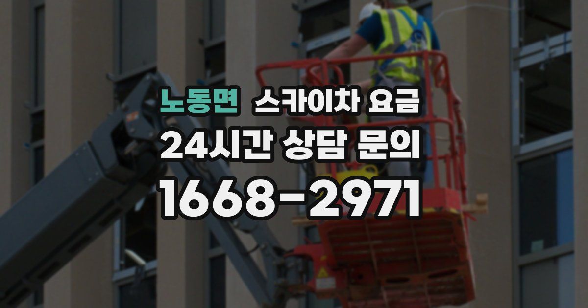 노동면 스카이차 요금