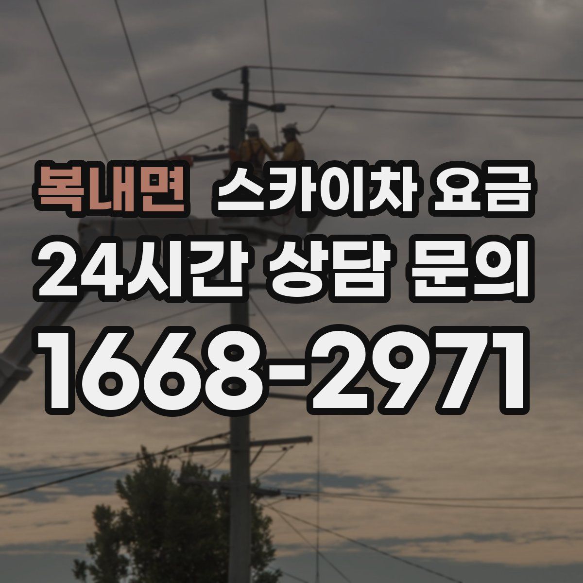 복내면 스카이차 요금